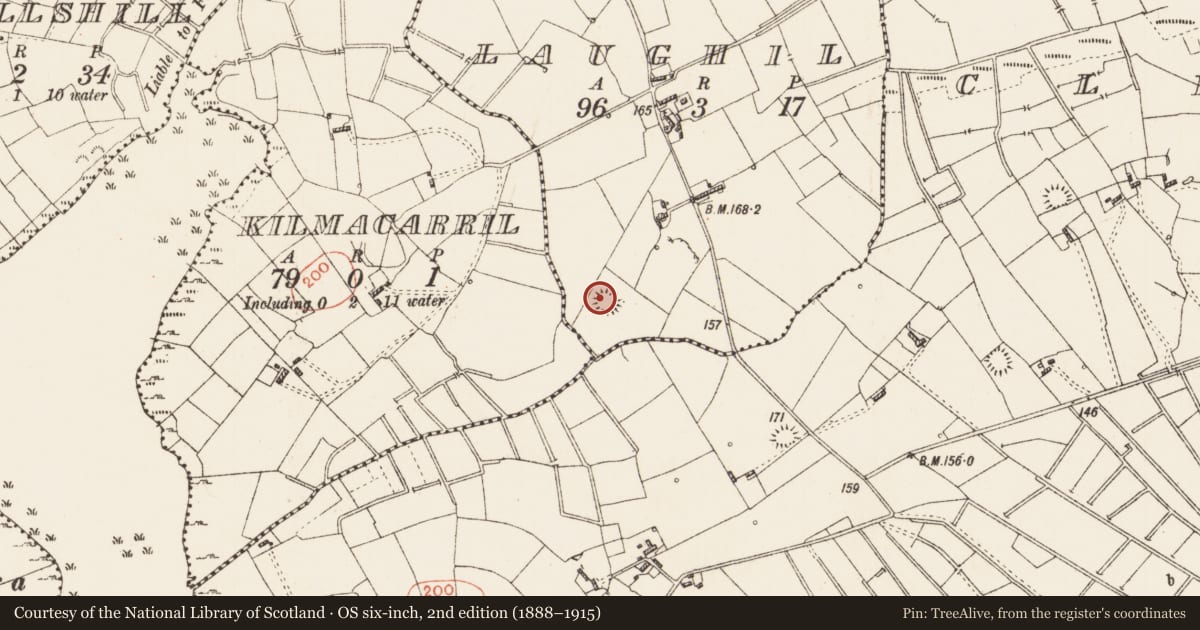 Ordnance Survey six-inch map, 2nd edition (1888–1915) covering the location of Ringfort - rath, Laughil, County Roscommon, with a pin at the register's coordinates