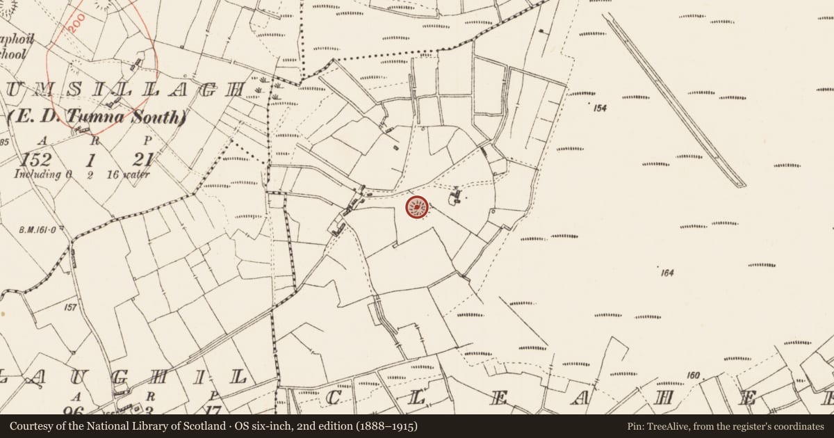 Ordnance Survey six-inch map, 2nd edition (1888–1915) covering the location of Ringfort - rath, Cleaheen, County Roscommon, with a pin at the register's coordinates