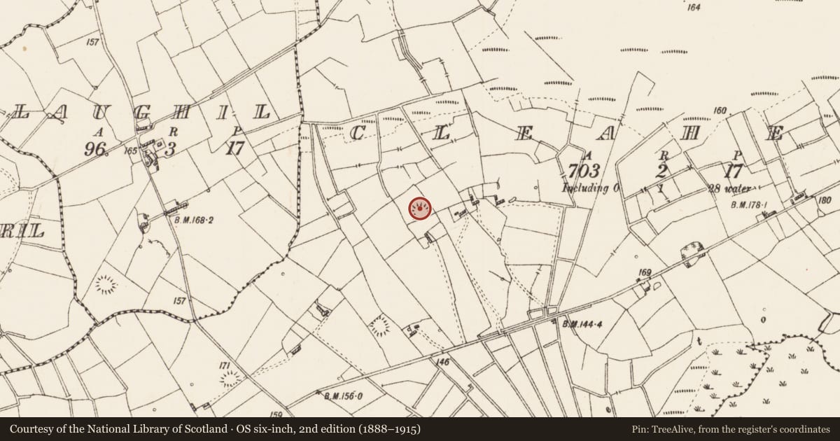 Ordnance Survey six-inch map, 2nd edition (1888–1915) covering the location of Ringfort - rath, Cleaheen, County Roscommon, with a pin at the register's coordinates