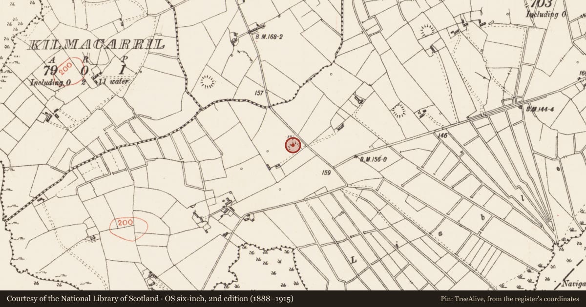 Ordnance Survey six-inch map, 2nd edition (1888–1915) covering the location of Ringfort - rath, Cleaheen, County Roscommon, with a pin at the register's coordinates