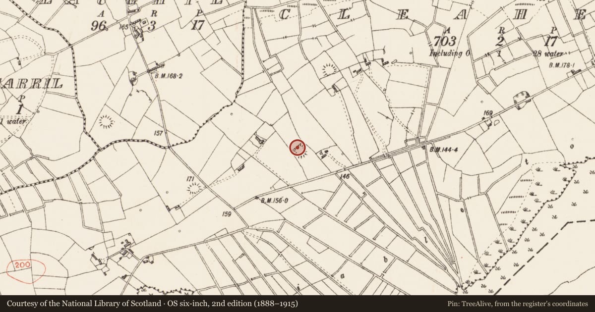 Ordnance Survey six-inch map, 2nd edition (1888–1915) covering the location of Ringfort - rath, Cleaheen, County Roscommon, with a pin at the register's coordinates
