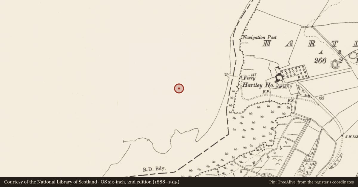 Ordnance Survey six-inch map, 2nd edition (1888–1915) covering the location of Ringfort - rath, Cleaheen, County Roscommon, with a pin at the register's coordinates