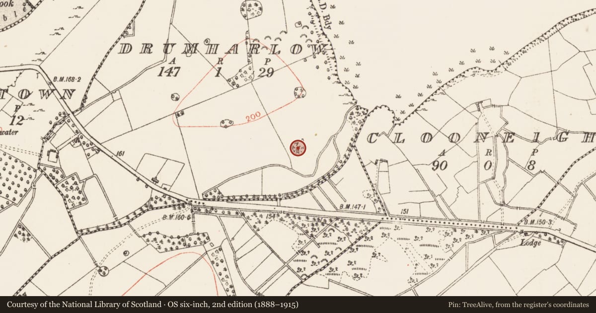 Ordnance Survey six-inch map, 2nd edition (1888–1915) covering the location of Designed landscape - tree-ring, Drumharlow, County Roscommon, with a pin at the register's coordinates