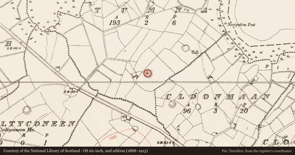 Ordnance Survey six-inch map, 2nd edition (1888–1915) covering the location of Ringfort - rath, Tumna, County Roscommon, with a pin at the register's coordinates