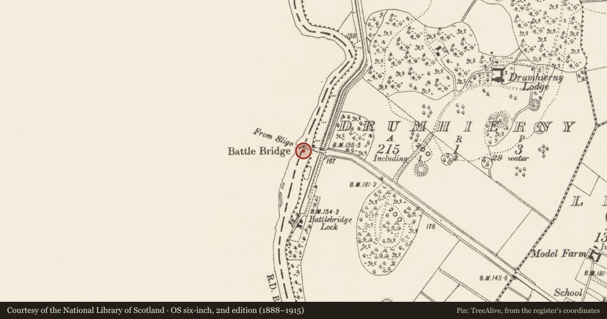 Ordnance Survey six-inch map, 2nd edition (1888–1915) covering the location of Bridge, Lustia, County Roscommon, with a pin at the register's coordinates