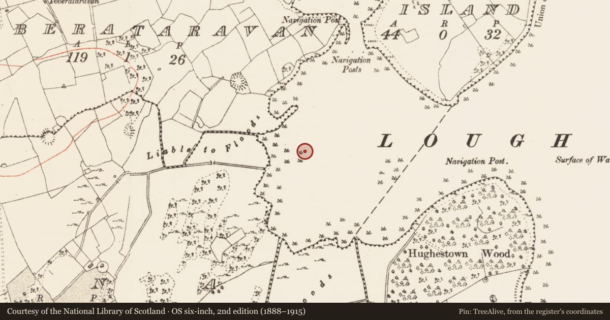 Ordnance Survey six-inch map, 2nd edition (1888–1915) covering the location of Crannog, Lough Eidin, County Roscommon, with a pin at the register's coordinates