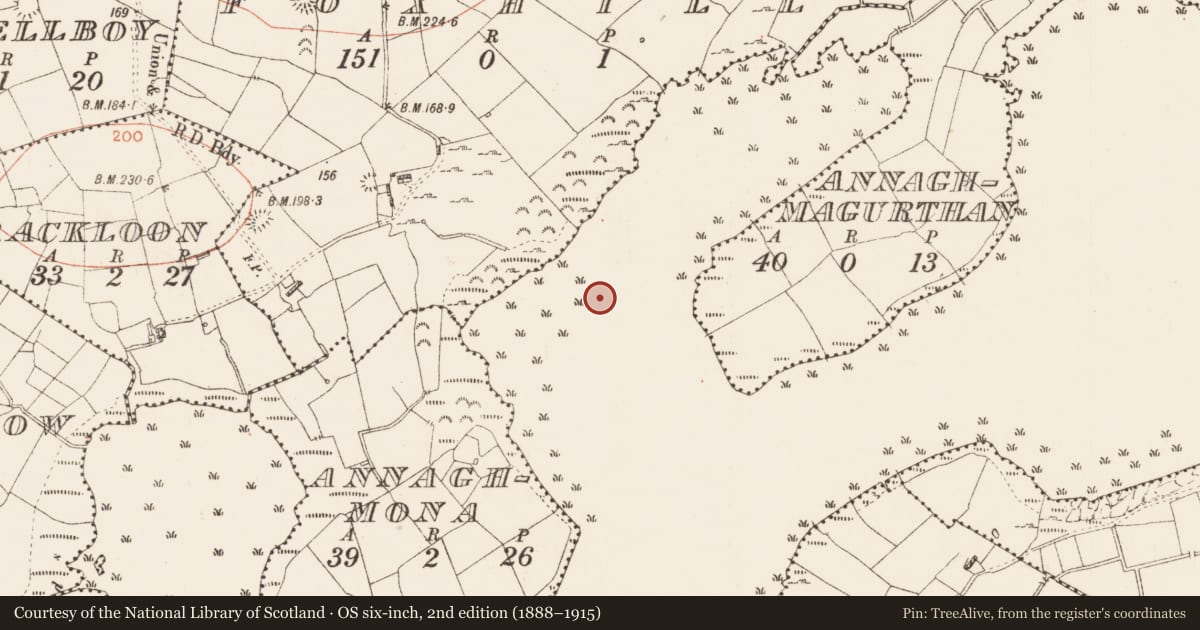 Ordnance Survey six-inch map, 2nd edition (1888–1915) covering the location of Crannog, Lough Eidin, County Roscommon, with a pin at the register's coordinates