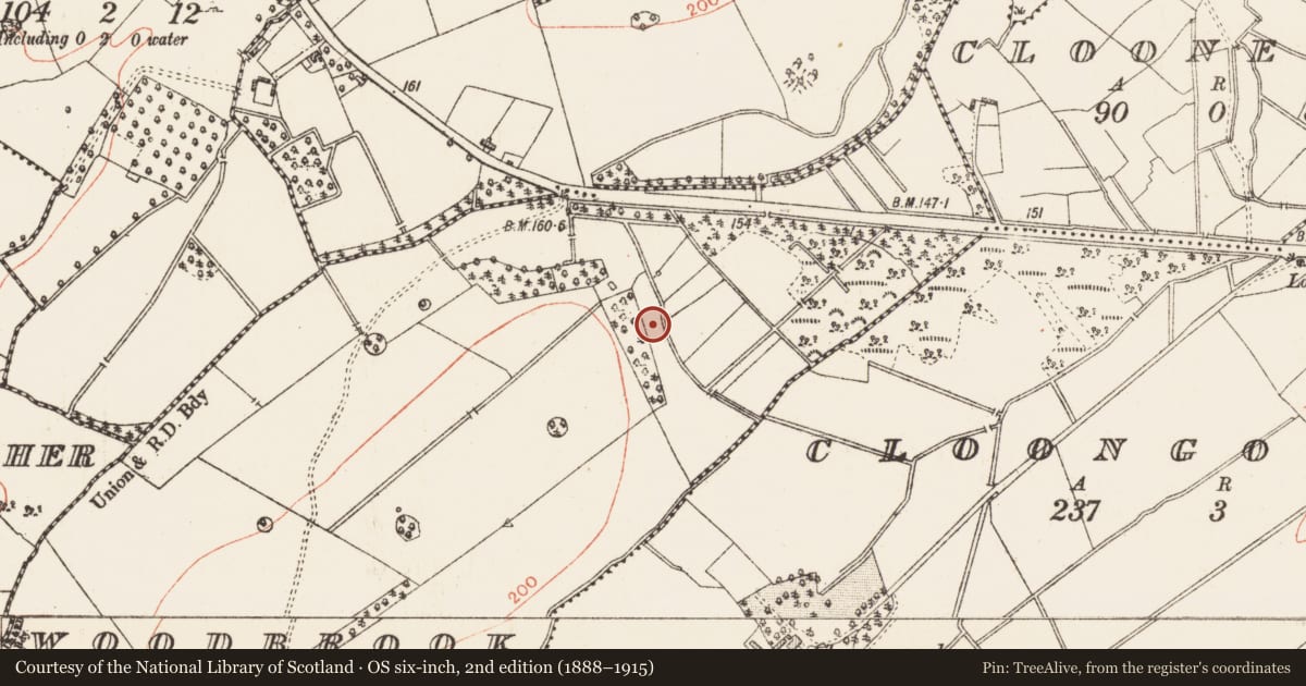 Ordnance Survey six-inch map, 2nd edition (1888–1915) covering the location of Burnt mound, Woodbrook, County Roscommon, with a pin at the register's coordinates