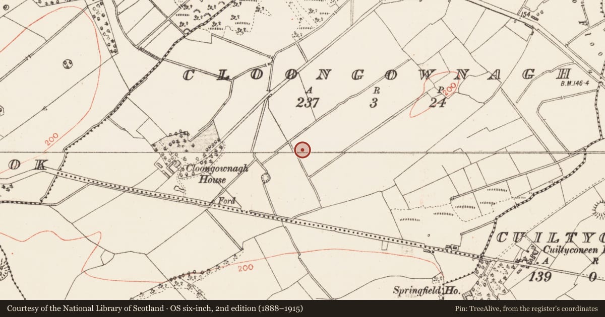 Ordnance Survey six-inch map, 2nd edition (1888–1915) covering the location of Excavation - miscellaneous, Cloongownagh, County Roscommon, with a pin at the register's coordinates