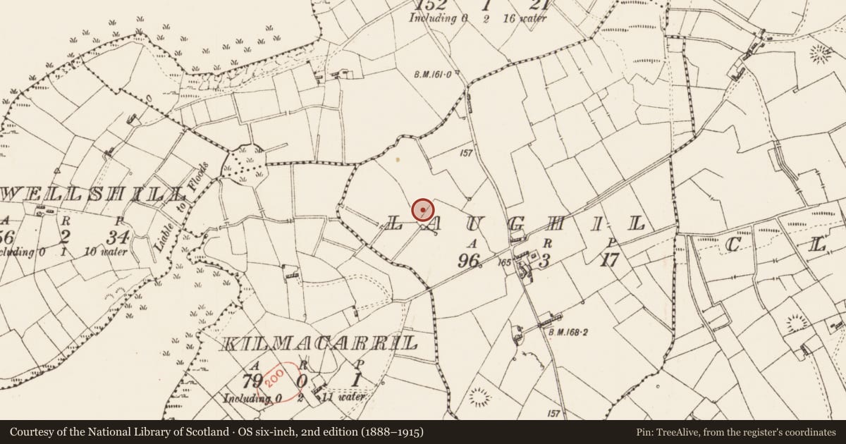 Ordnance Survey six-inch map, 2nd edition (1888–1915) covering the location of Ringfort - rath, Laughil, County Roscommon, with a pin at the register's coordinates
