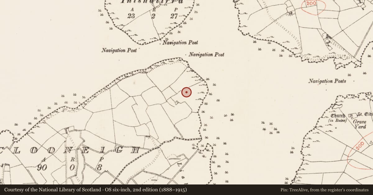 Ordnance Survey six-inch map, 2nd edition (1888–1915) covering the location of Ringfort - rath, Clooneigh, County Roscommon, with a pin at the register's coordinates