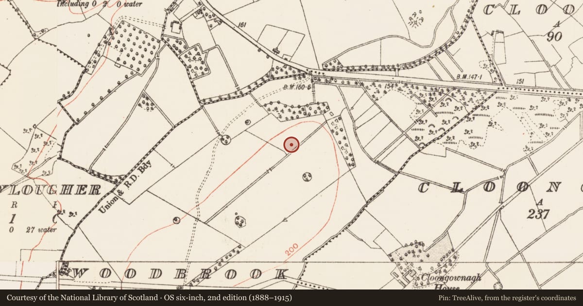 Ordnance Survey six-inch map, 2nd edition (1888–1915) covering the location of Barrow - ring-barrow, Woodbrook, County Roscommon, with a pin at the register's coordinates
