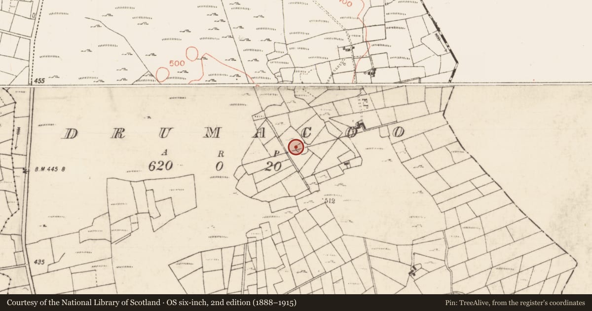 Ordnance Survey six-inch map, 2nd edition (1888–1915) covering the location of Ringfort - cashel, Drumacoo, County Roscommon, with a pin at the register's coordinates