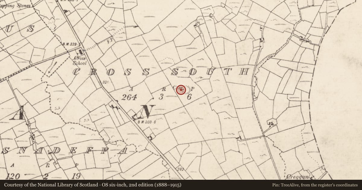 Ordnance Survey six-inch map, 2nd edition (1888–1915) covering the location of Ringfort - cashel, Cross South, County Roscommon, with a pin at the register's coordinates