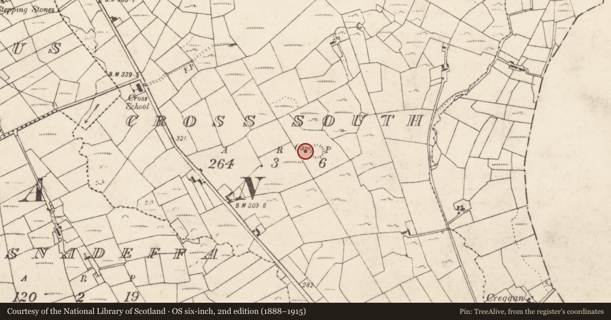 Ordnance Survey six-inch map, 2nd edition (1888–1915) covering the location of Souterrain, Cross South, County Roscommon, with a pin at the register's coordinates