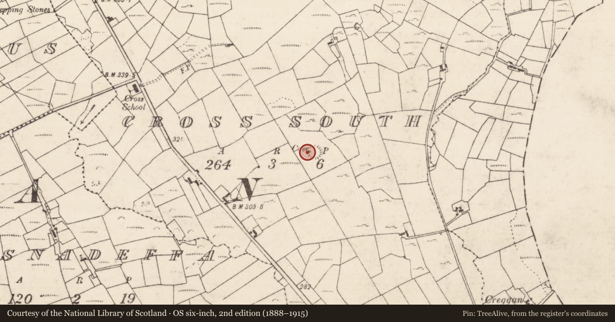 Ordnance Survey six-inch map, 2nd edition (1888–1915) covering the location of Mound, Cross South, County Roscommon, with a pin at the register's coordinates