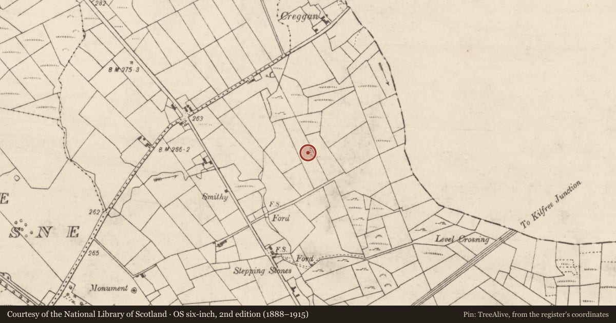 Ordnance Survey six-inch map, 2nd edition (1888–1915) covering the location of Ringfort - rath, Creggan, County Roscommon, with a pin at the register's coordinates
