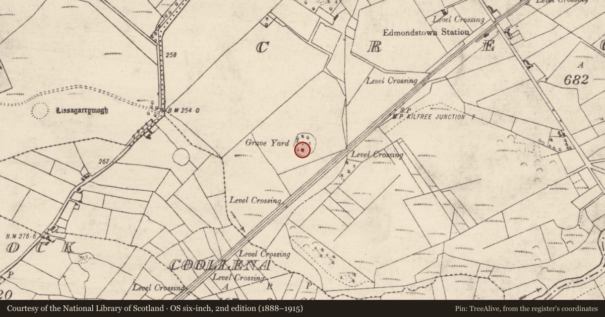 Ordnance Survey six-inch map, 2nd edition (1888–1915) covering the location of Children's burial ground, Creggan, County Roscommon, with a pin at the register's coordinates