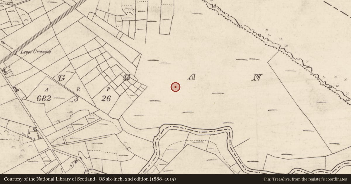 Ordnance Survey six-inch map, 2nd edition (1888–1915) covering the location of Road - class 1 togher, Creggan, County Roscommon, with a pin at the register's coordinates