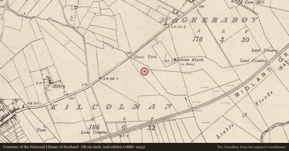 Ordnance Survey six-inch map, 2nd edition (1888–1915) covering the location of Castle - unclassified, Kilcolman, County Roscommon, with a pin at the register's coordinates