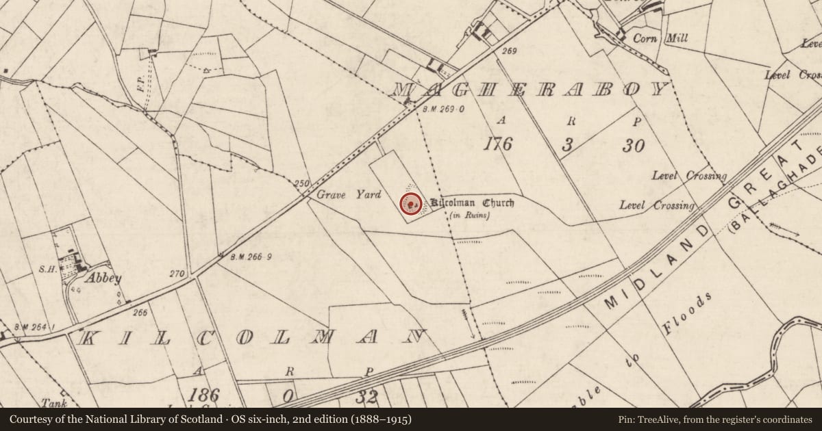 Ordnance Survey six-inch map, 2nd edition (1888–1915) covering the location of Graveyard, Kilcolman, County Roscommon, with a pin at the register's coordinates