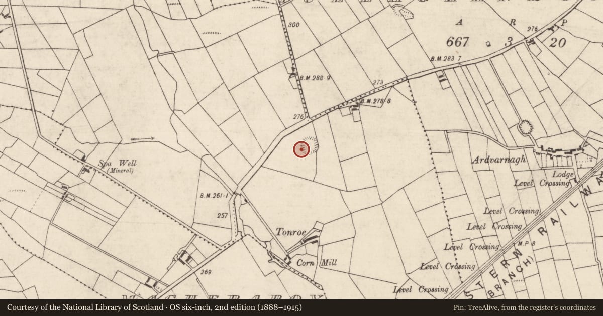 Ordnance Survey six-inch map, 2nd edition (1888–1915) covering the location of Ringfort - rath, Toobrackan, County Roscommon, with a pin at the register's coordinates