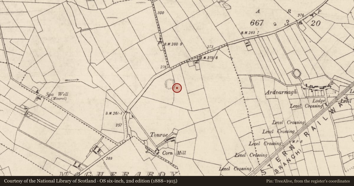 Ordnance Survey six-inch map, 2nd edition (1888–1915) covering the location of Field system, Toobrackan, County Roscommon, with a pin at the register's coordinates