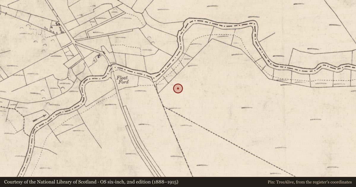 Ordnance Survey six-inch map, 2nd edition (1888–1915) covering the location of Road - class 1 togher, Callow Or Runnawillin, County Roscommon, with a pin at the register's coordinates