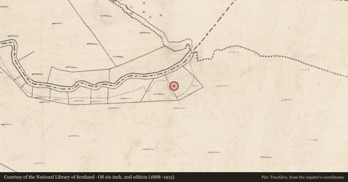 Ordnance Survey six-inch map, 2nd edition (1888–1915) covering the location of Crannog, Callow Or Runnawillin, County Roscommon, with a pin at the register's coordinates