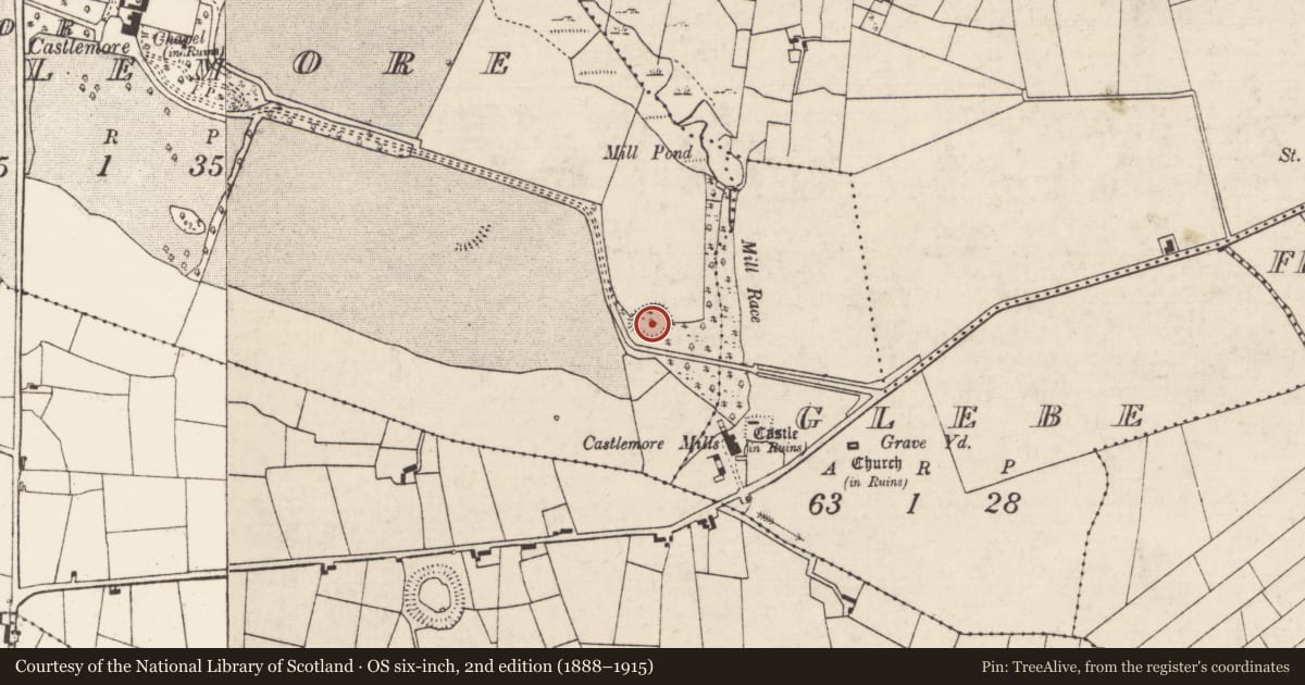 Ordnance Survey six-inch map, 2nd edition (1888–1915) covering the location of Ringfort - rath, Ballymaging Or Castlemore, County Roscommon, with a pin at the register's coordinates
