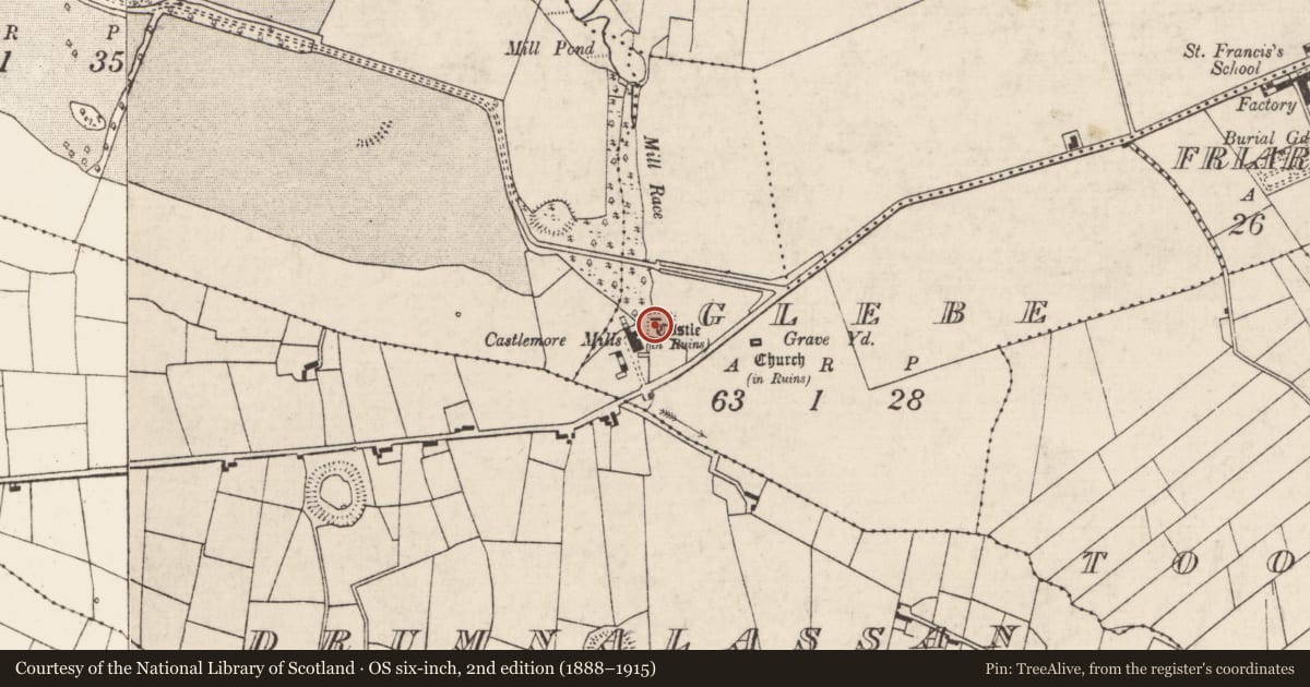 Ordnance Survey six-inch map, 2nd edition (1888–1915) covering the location of Castle - unclassified, Glebe, County Roscommon, with a pin at the register's coordinates