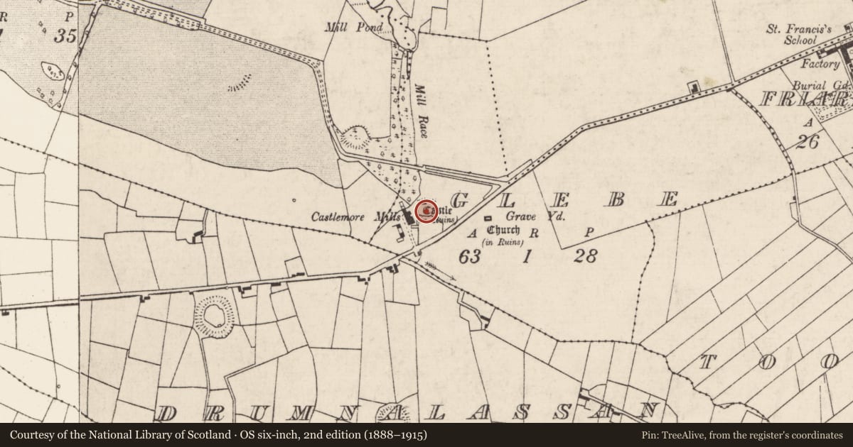 Ordnance Survey six-inch map, 2nd edition (1888–1915) covering the location of Bawn, Glebe, County Roscommon, with a pin at the register's coordinates