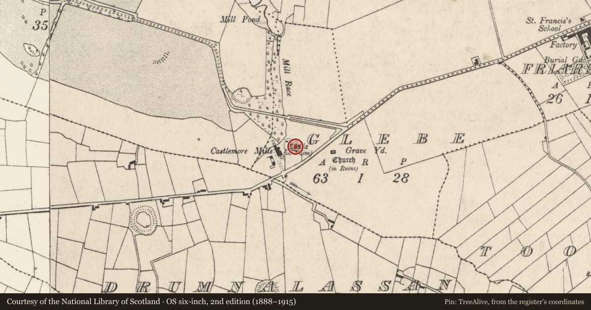Ordnance Survey six-inch map, 2nd edition (1888–1915) covering the location of Hut site, Glebe, County Roscommon, with a pin at the register's coordinates