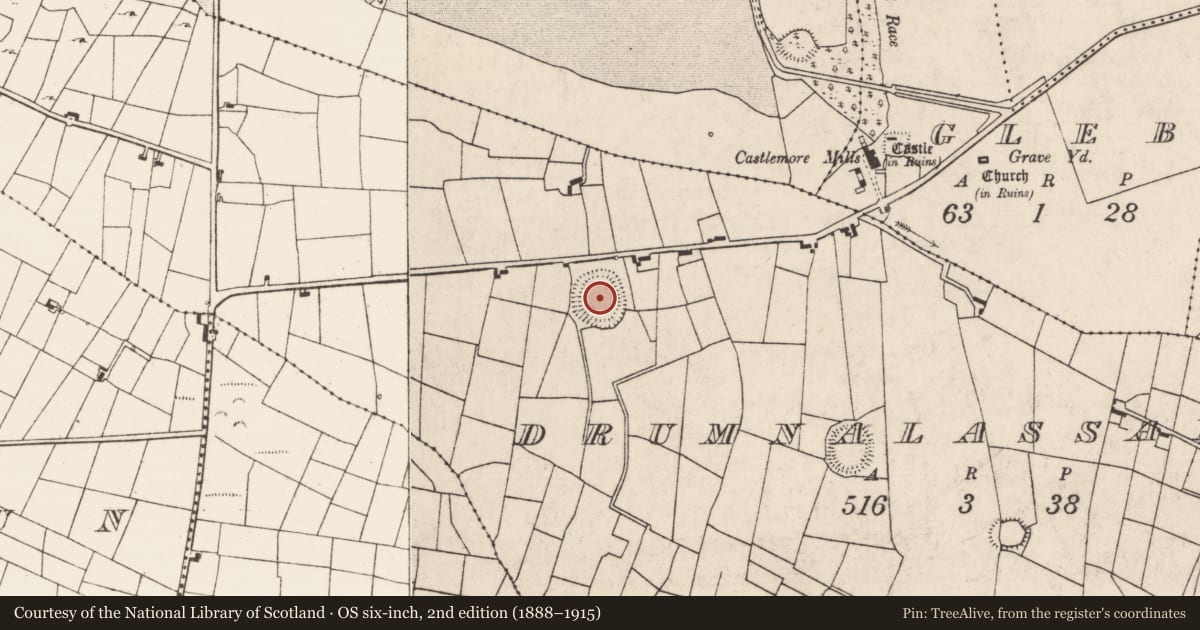 Ordnance Survey six-inch map, 2nd edition (1888–1915) covering the location of Ringfort - rath, Drumnalassan, County Roscommon, with a pin at the register's coordinates