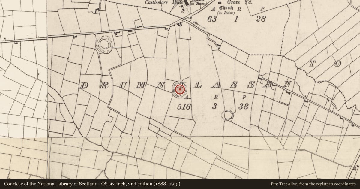 Ordnance Survey six-inch map, 2nd edition (1888–1915) covering the location of Ringfort - rath, Drumnalassan, County Roscommon, with a pin at the register's coordinates
