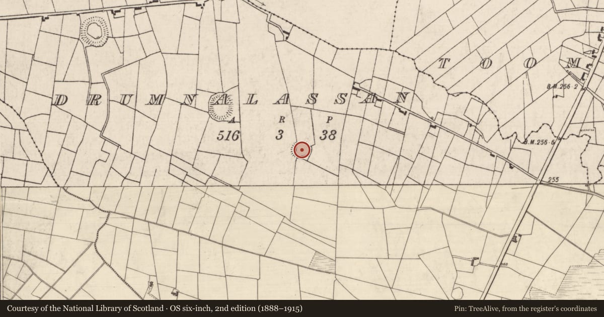 Ordnance Survey six-inch map, 2nd edition (1888–1915) covering the location of Ringfort - rath, Drumnalassan, County Roscommon, with a pin at the register's coordinates
