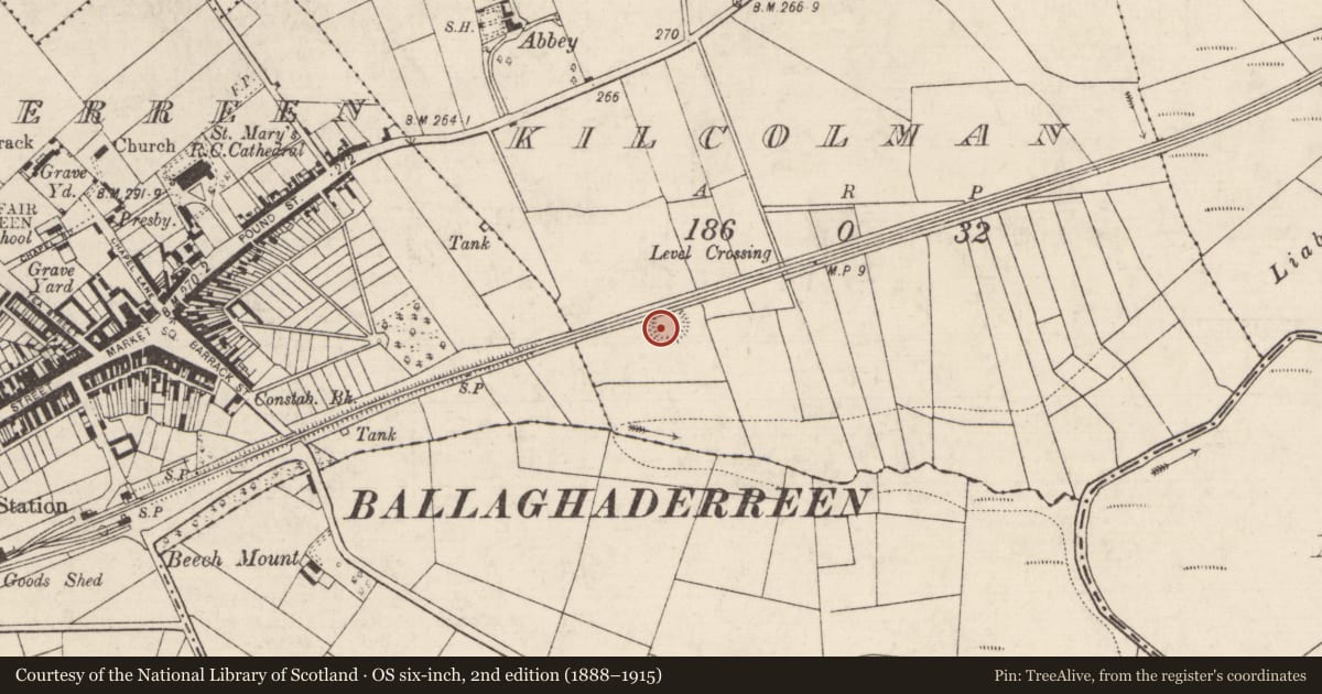 Ordnance Survey six-inch map, 2nd edition (1888–1915) covering the location of Ringfort - rath, Kilcolman, County Roscommon, with a pin at the register's coordinates