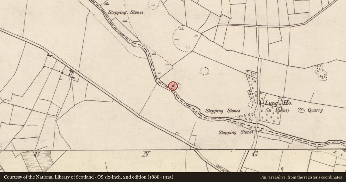 Ordnance Survey six-inch map, 2nd edition (1888–1915) covering the location of Ringfort - rath, Banada, County Roscommon, with a pin at the register's coordinates