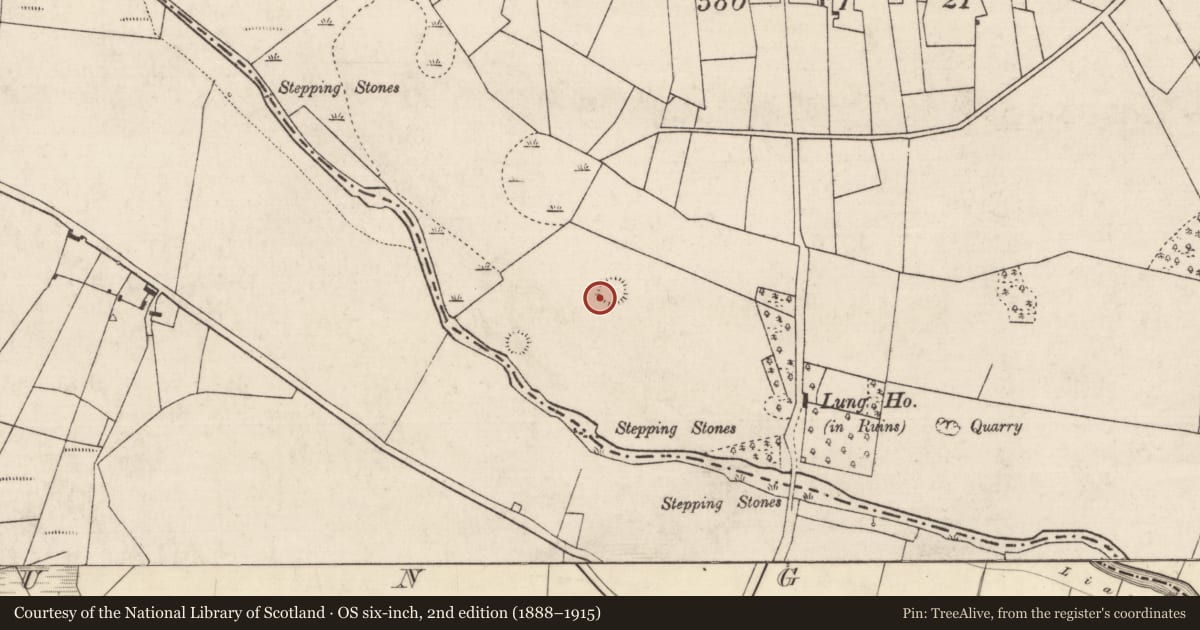 Ordnance Survey six-inch map, 2nd edition (1888–1915) covering the location of Ringfort - rath, Banada, County Roscommon, with a pin at the register's coordinates