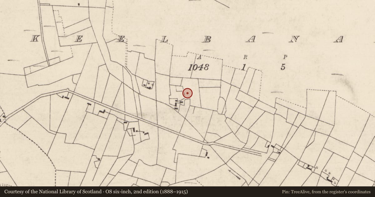 Ordnance Survey six-inch map, 2nd edition (1888–1915) covering the location of Enclosure, Keelbanada, County Roscommon, with a pin at the register's coordinates