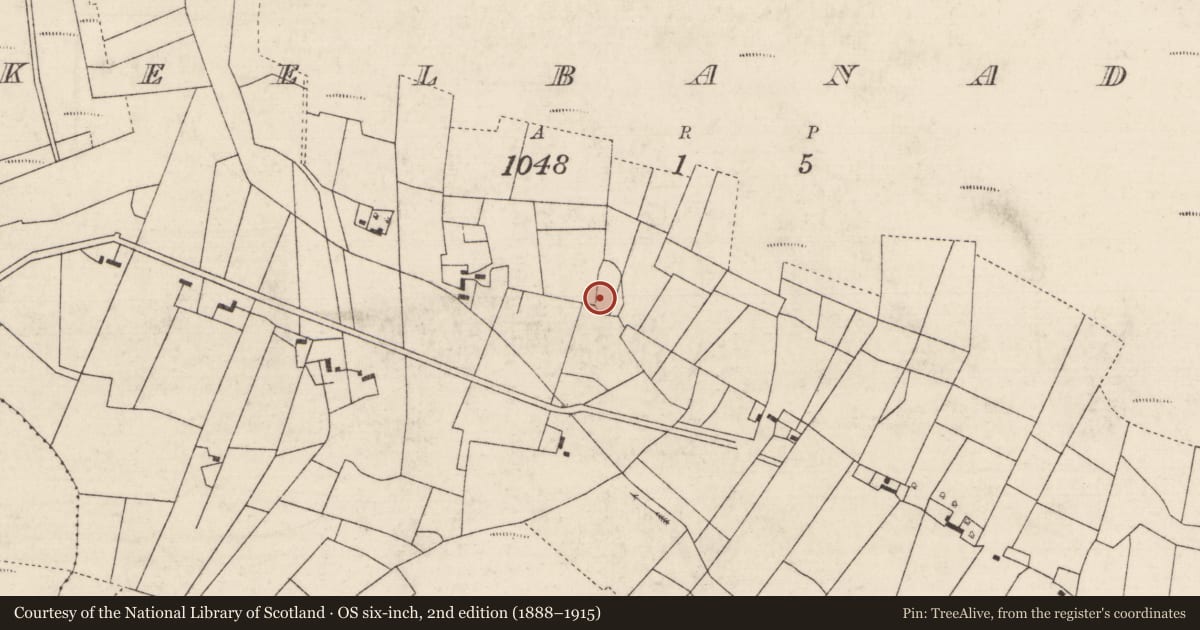 Ordnance Survey six-inch map, 2nd edition (1888–1915) covering the location of Enclosure, Keelbanada, County Roscommon, with a pin at the register's coordinates