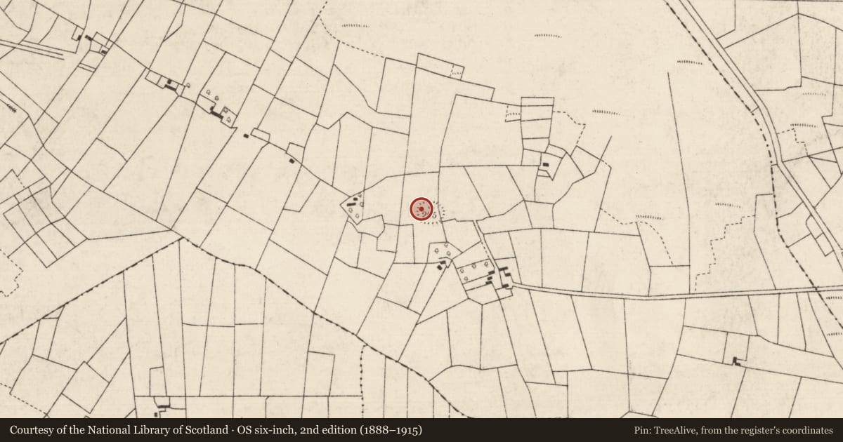 Ordnance Survey six-inch map, 2nd edition (1888–1915) covering the location of Ringfort - rath, Keelbanada, County Roscommon, with a pin at the register's coordinates