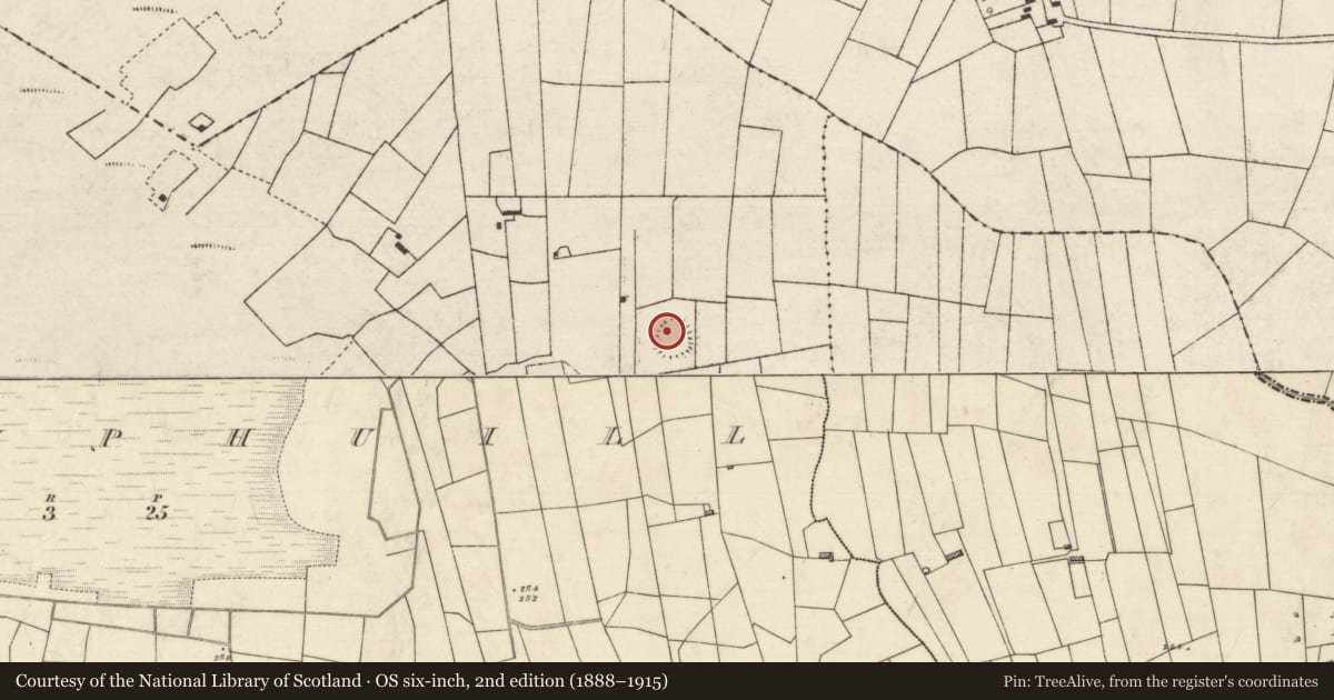 Ordnance Survey six-inch map, 2nd edition (1888–1915) covering the location of Ringfort - rath, Ballinphuill, County Roscommon, with a pin at the register's coordinates