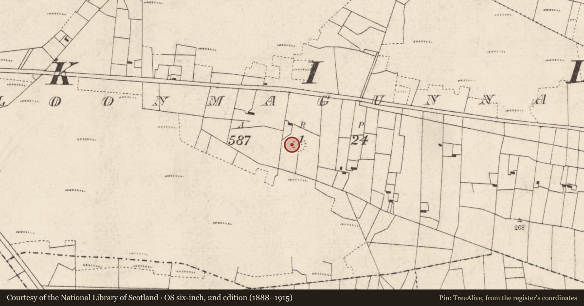 Ordnance Survey six-inch map, 2nd edition (1888–1915) covering the location of Ringfort - rath, Cloonmagunnaun, County Roscommon, with a pin at the register's coordinates