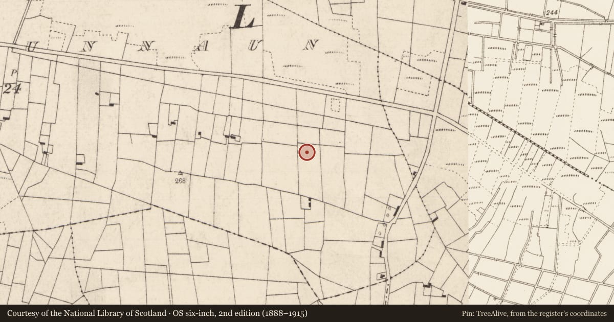 Ordnance Survey six-inch map, 2nd edition (1888–1915) covering the location of Linear earthwork, Cloonmagunnaun, County Roscommon, with a pin at the register's coordinates