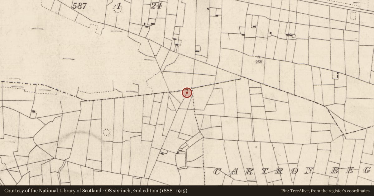 Ordnance Survey six-inch map, 2nd edition (1888–1915) covering the location of Crannog, Ratra, County Roscommon, with a pin at the register's coordinates