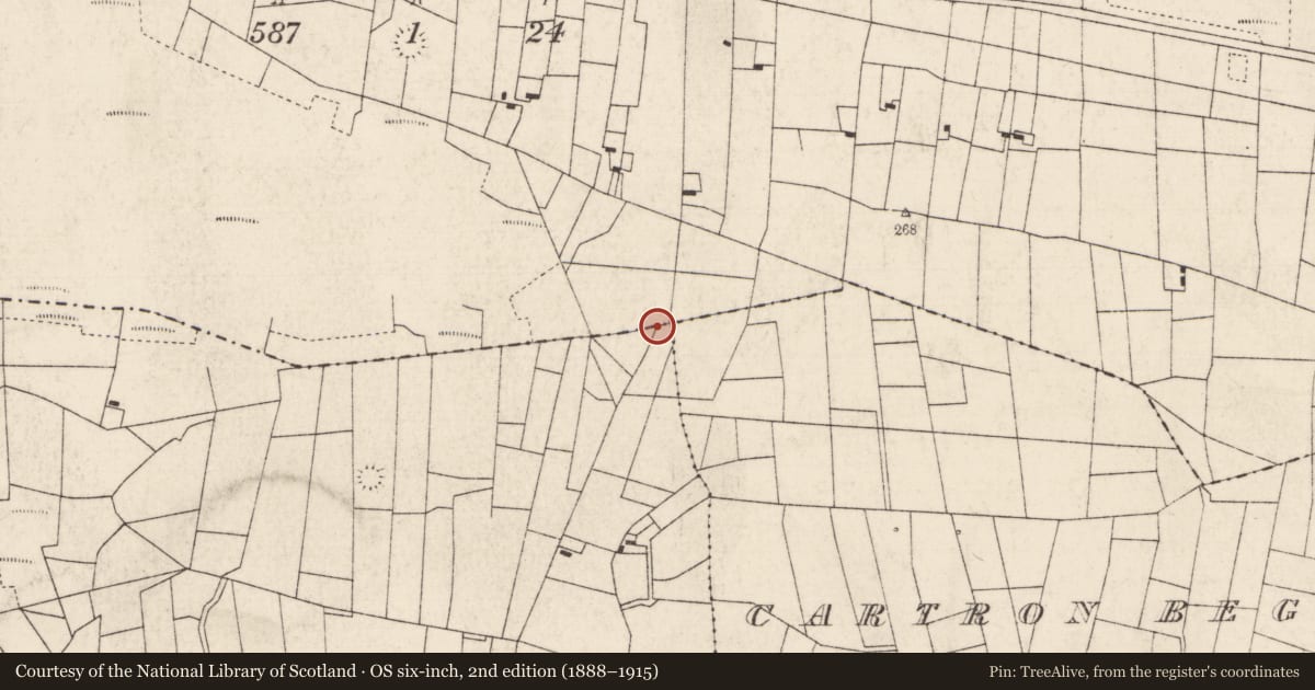 Ordnance Survey six-inch map, 2nd edition (1888–1915) covering the location of Crannog, Cartron Beg, Ratra, County Roscommon, with a pin at the register's coordinates