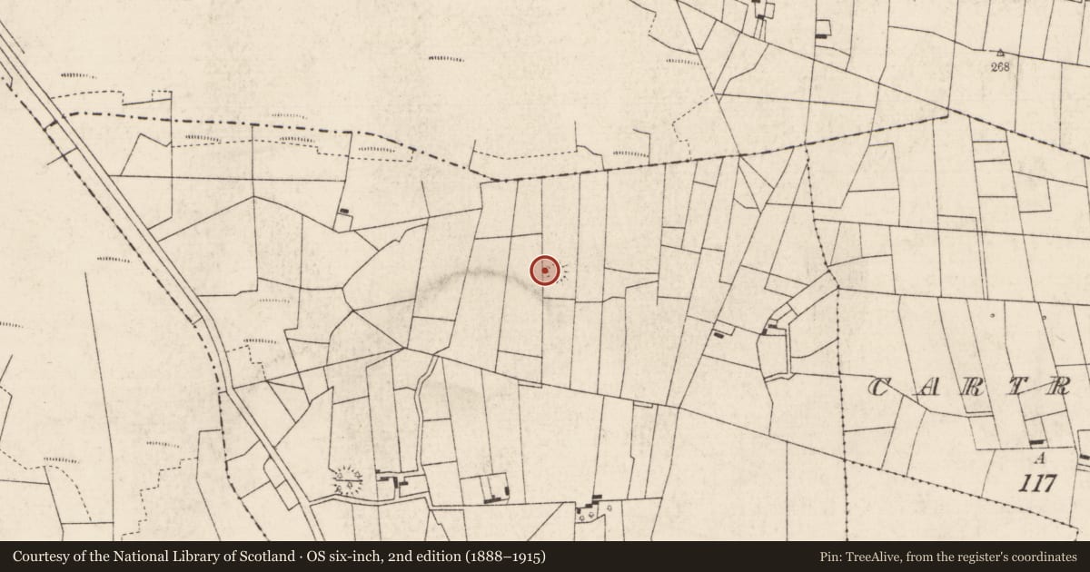 Ordnance Survey six-inch map, 2nd edition (1888–1915) covering the location of Ringfort - rath, Ratra, County Roscommon, with a pin at the register's coordinates