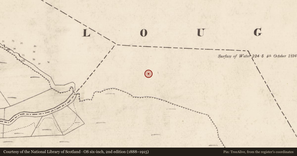 Ordnance Survey six-inch map, 2nd edition (1888–1915) covering the location of Crannog, Lough Gara, County Roscommon, with a pin at the register's coordinates