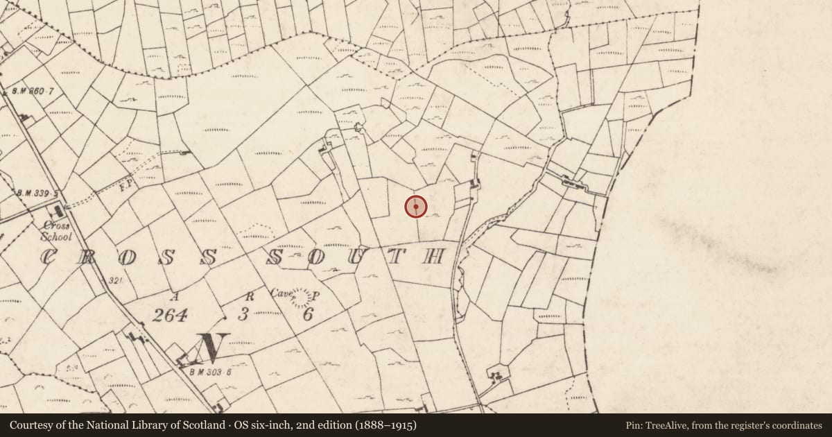 Ordnance Survey six-inch map, 2nd edition (1888–1915) covering the location of Souterrain, Cross South, County Roscommon, with a pin at the register's coordinates